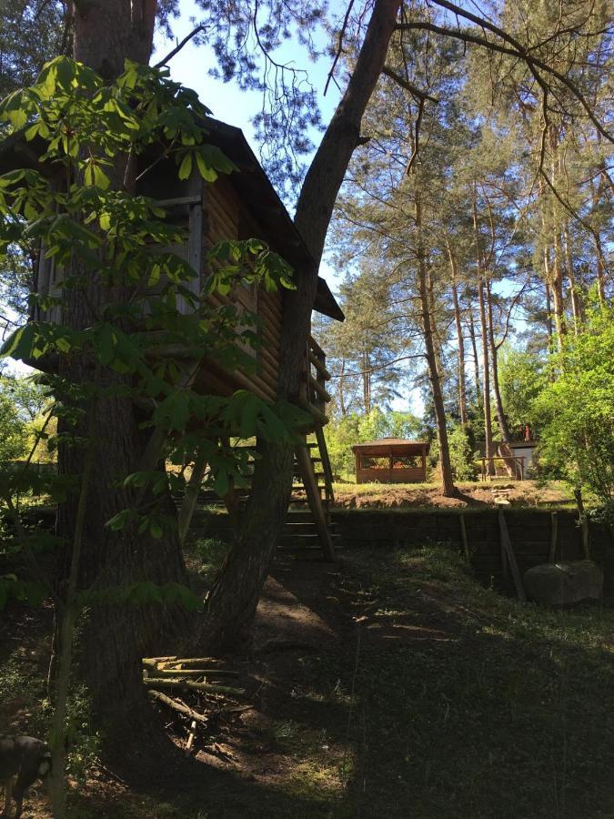 Domek Z Bali Tryszczyn Nad Brda エクステリア 写真